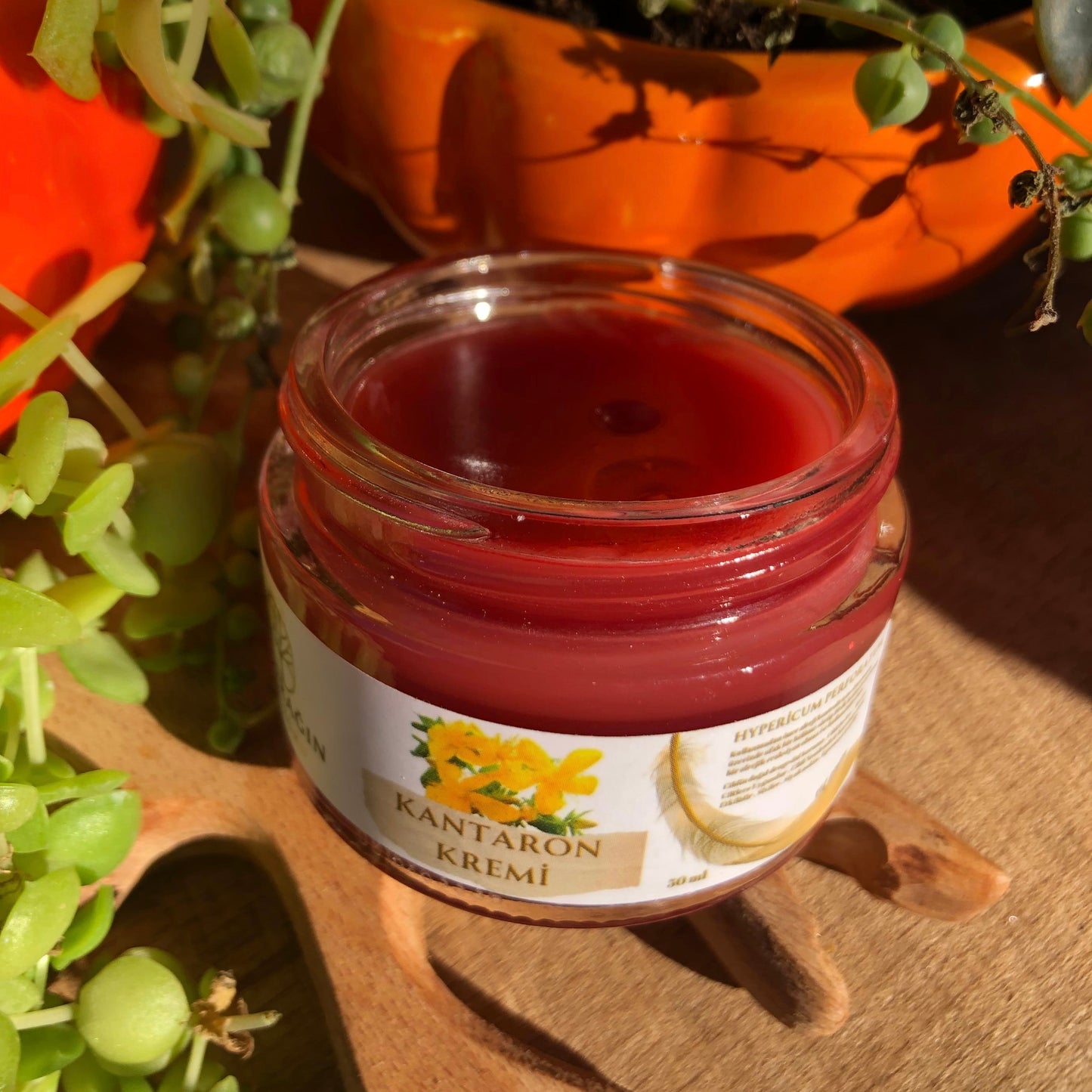 Kantaron Özlü Cilt Kremi ( 50 ml )
