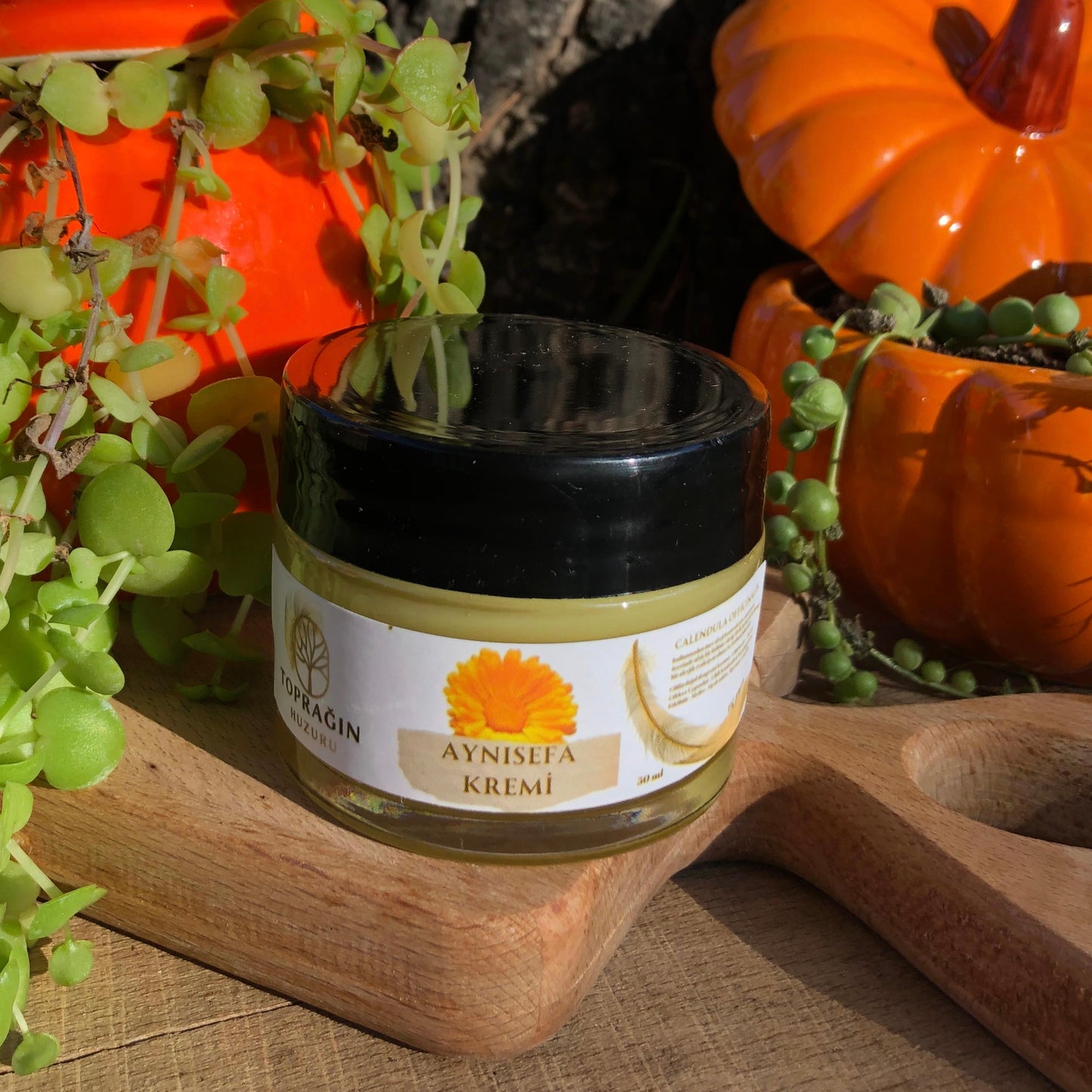 Aynı Sefa Özlü Cilt Kremi ( 50 ml )