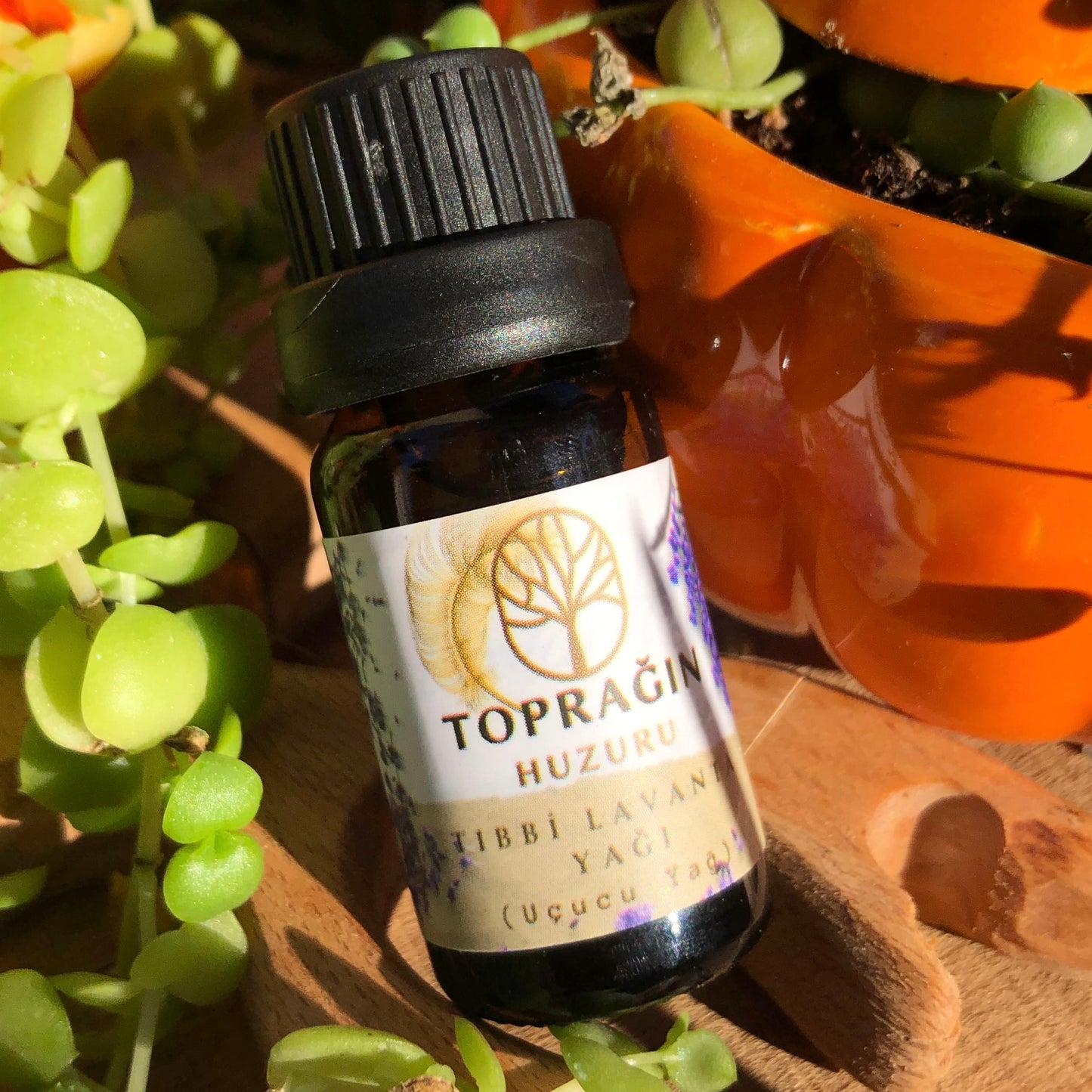 Tıbbi Lavanta Yağı ( 10 ml )