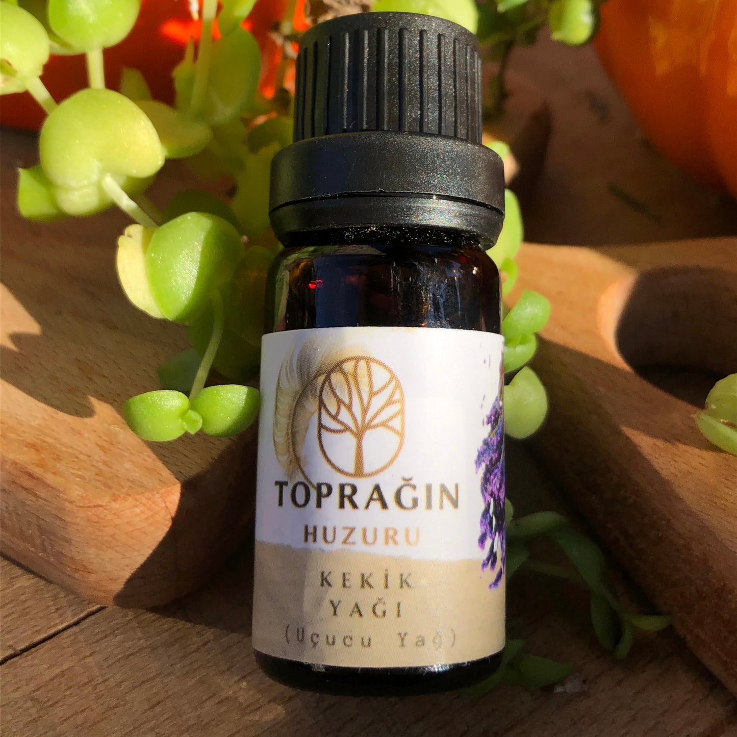 Kekik Yağı ( 10 ml )