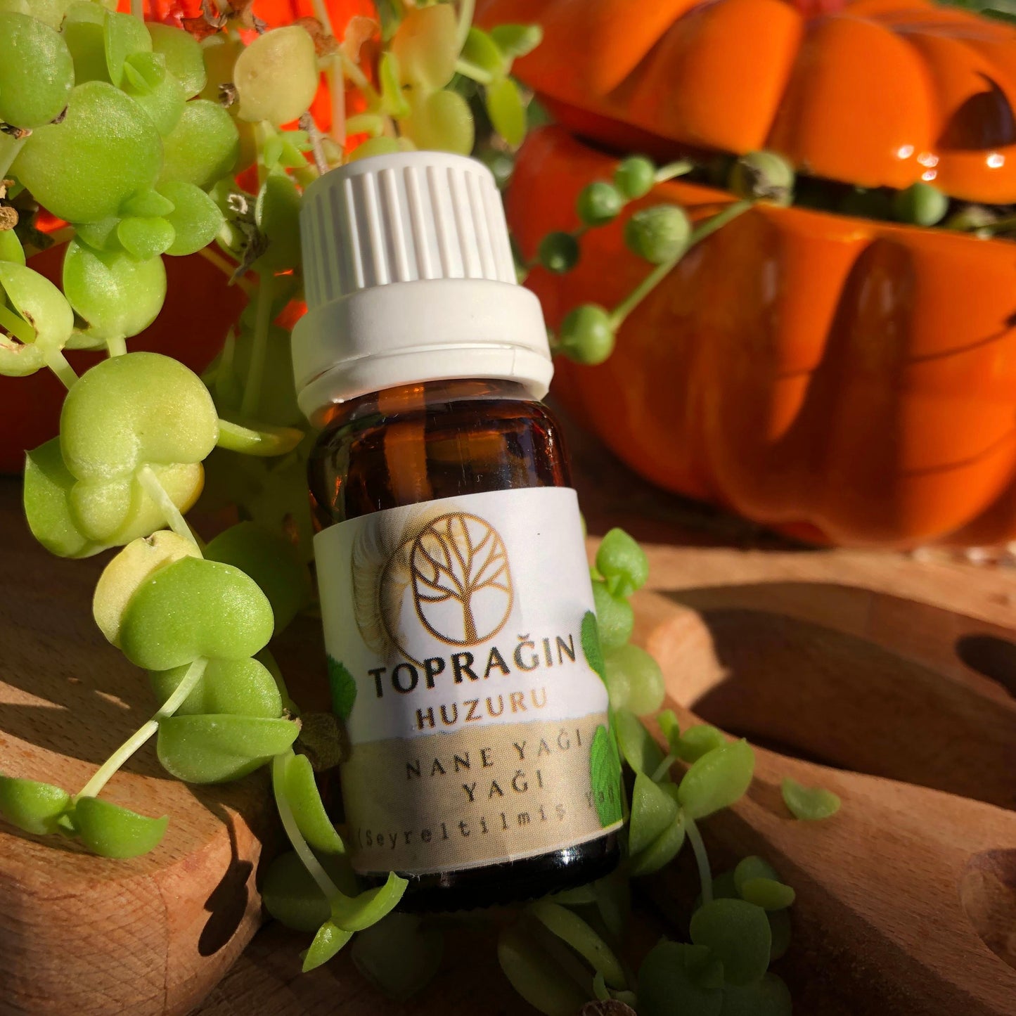 Nane Yağı ( 10 ml )