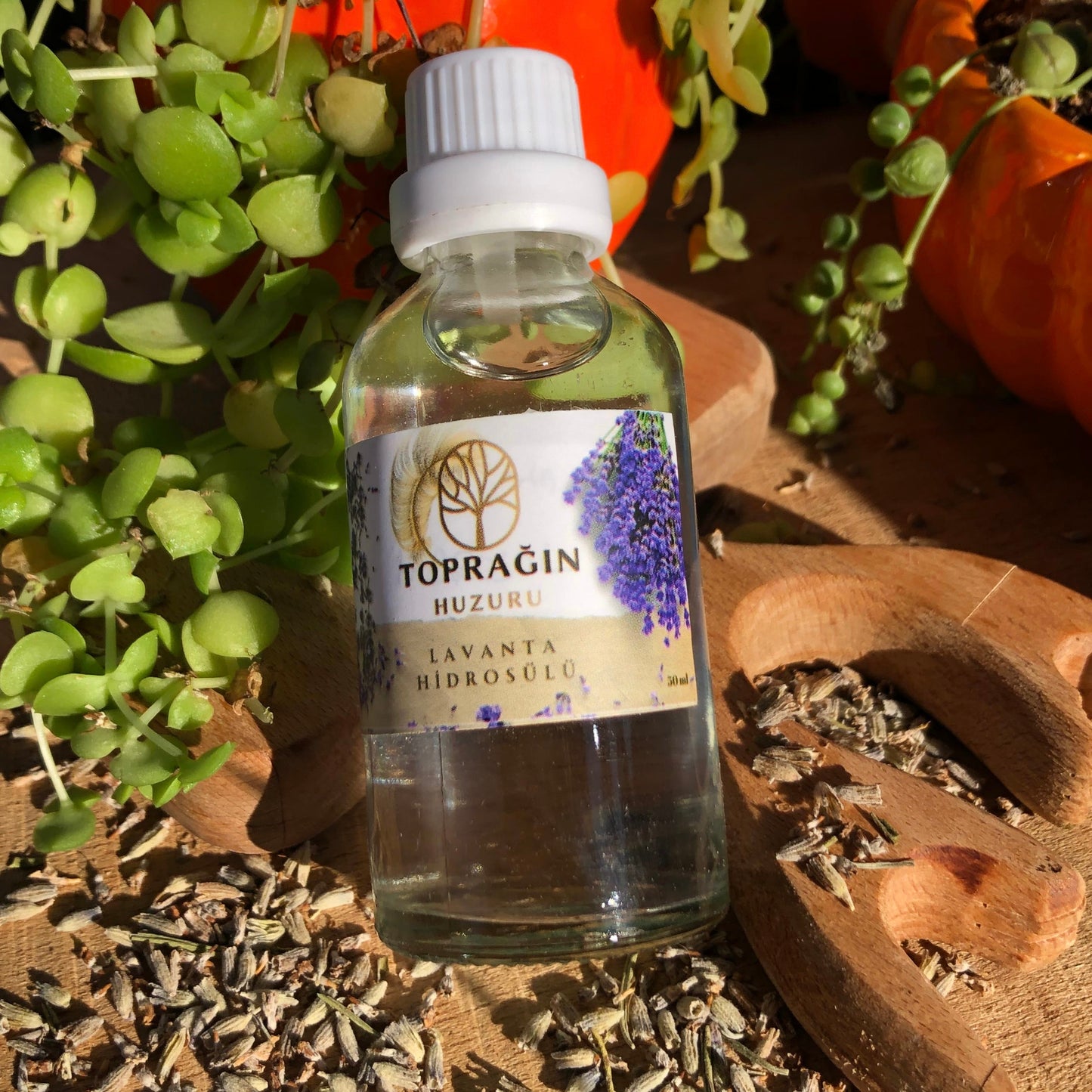 Lavanta Hidrosülü ( 50 ml )