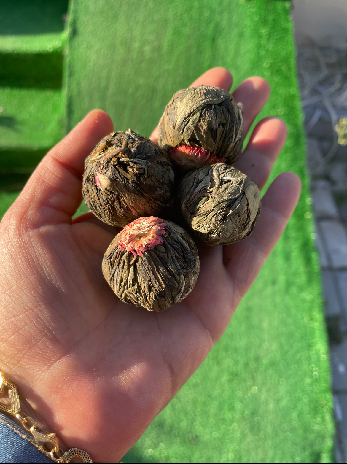 Yasemin çiçeği top yasemin