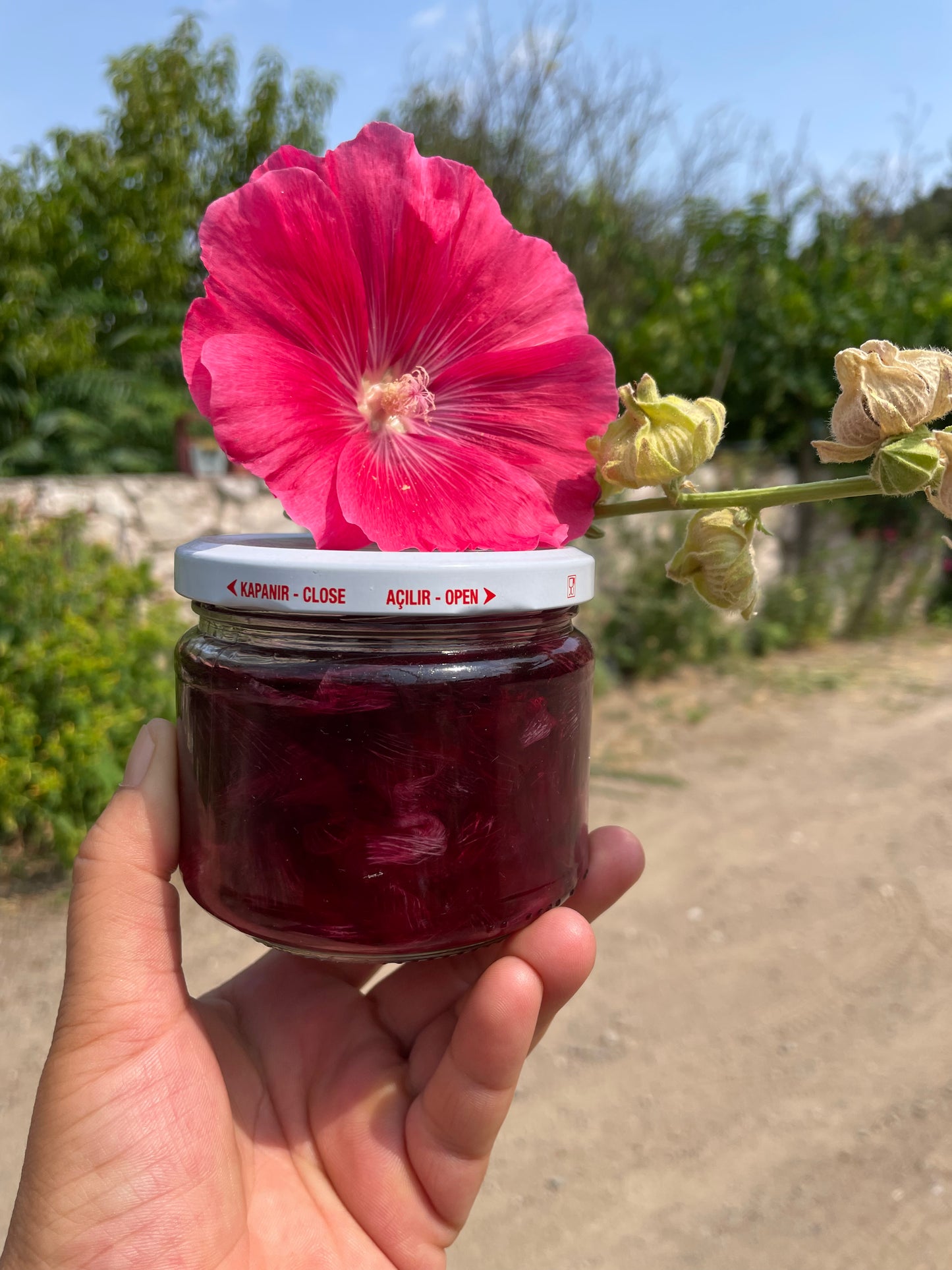 Gül Hatmi Reçeli (330 cc )