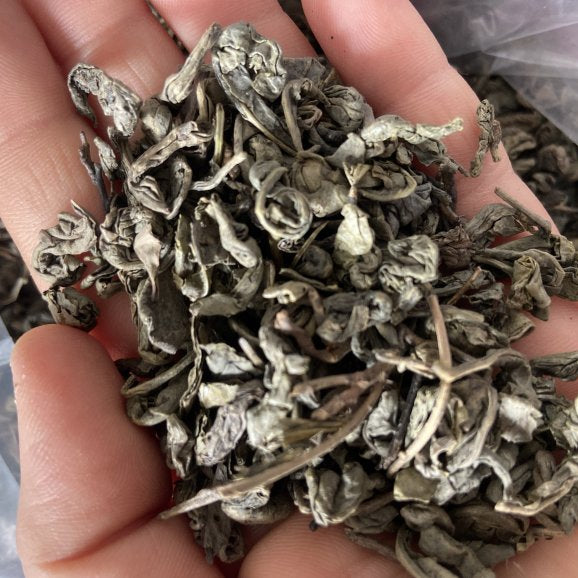 Yeşil Çay Tomurcuk ( 100 Gram )