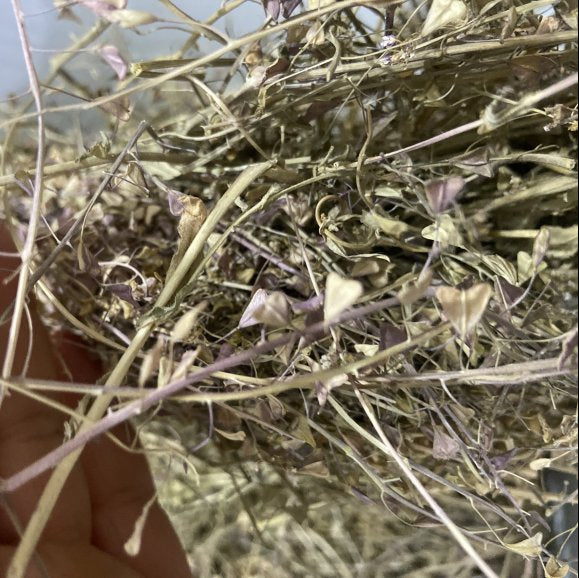 Çoban Çantası Otu Kurusu ( 50 Gram )