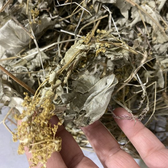 Testere Dişli Aslan Pençesi Otu ( 40 Gram )