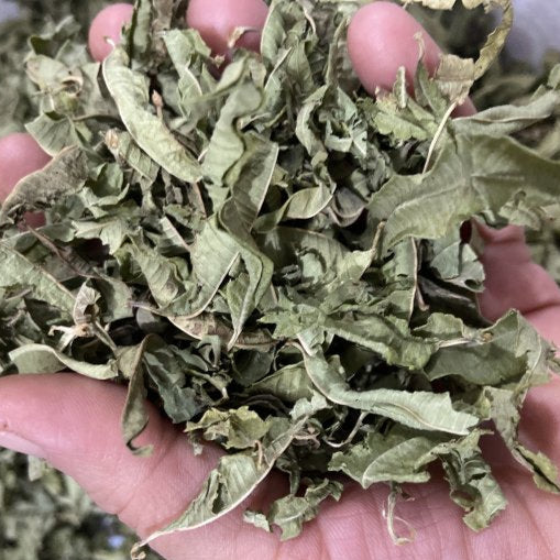 Limon Melisa Kurusu ( 100 Gram )