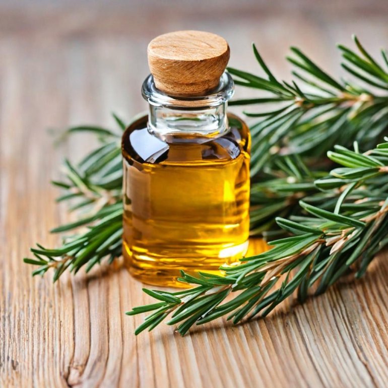 Biberiye Yağı Saf Uçucu ( 10 ml )