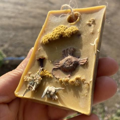 Koku Tableti Büyük Ev Ağaçları İçin Böcek Kovucu