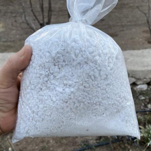 Perlit ( 100 Gram )