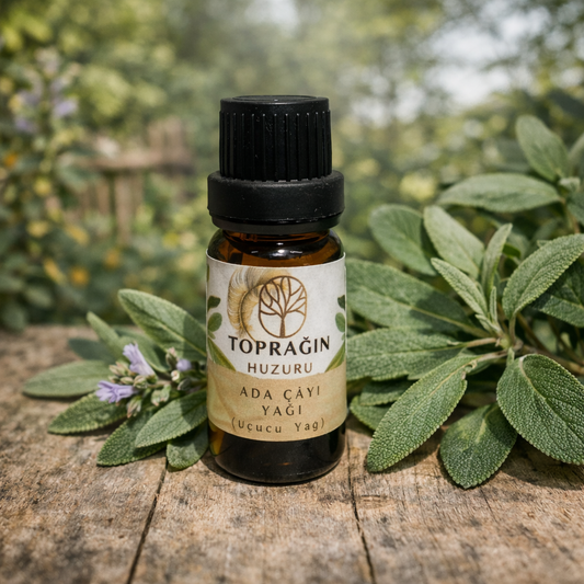 Ada Çayı Uçucu Yağı ( 10 ml )