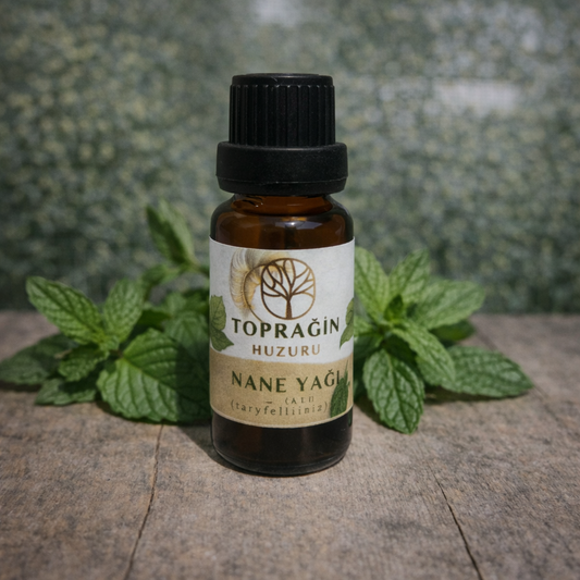 Nane Yağı ( 10 ml )