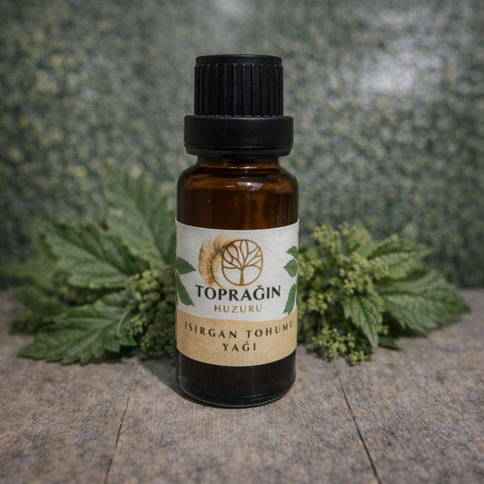 Isırgan Tohumu Yağı ( 20 ml )