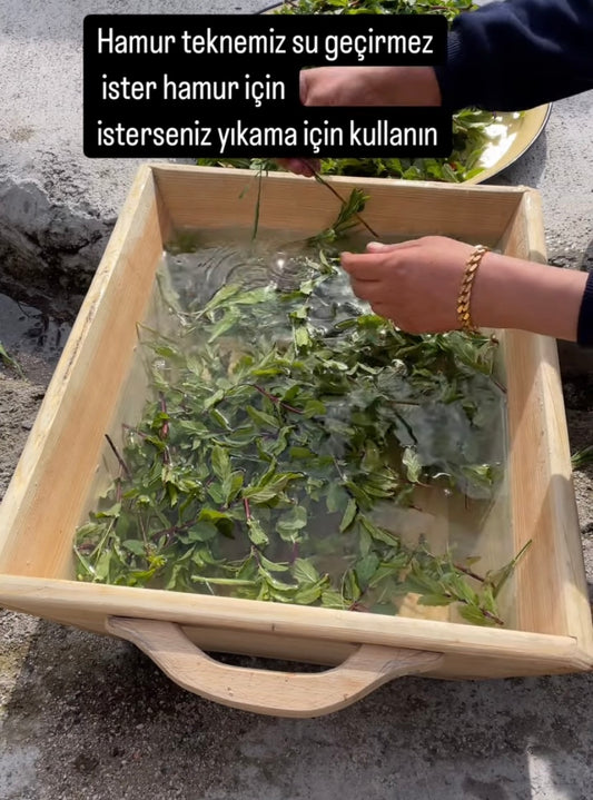 Hamur teknesi