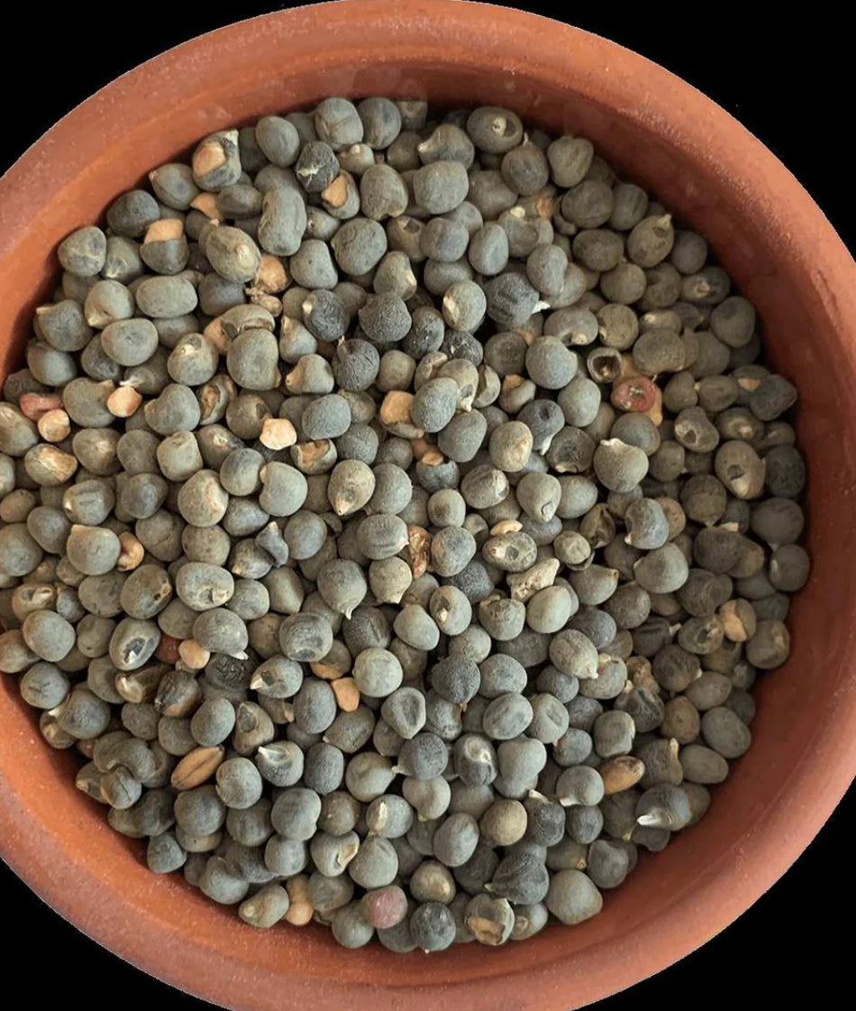 Çiçek Bamya Tohumu ( 250 Gram )