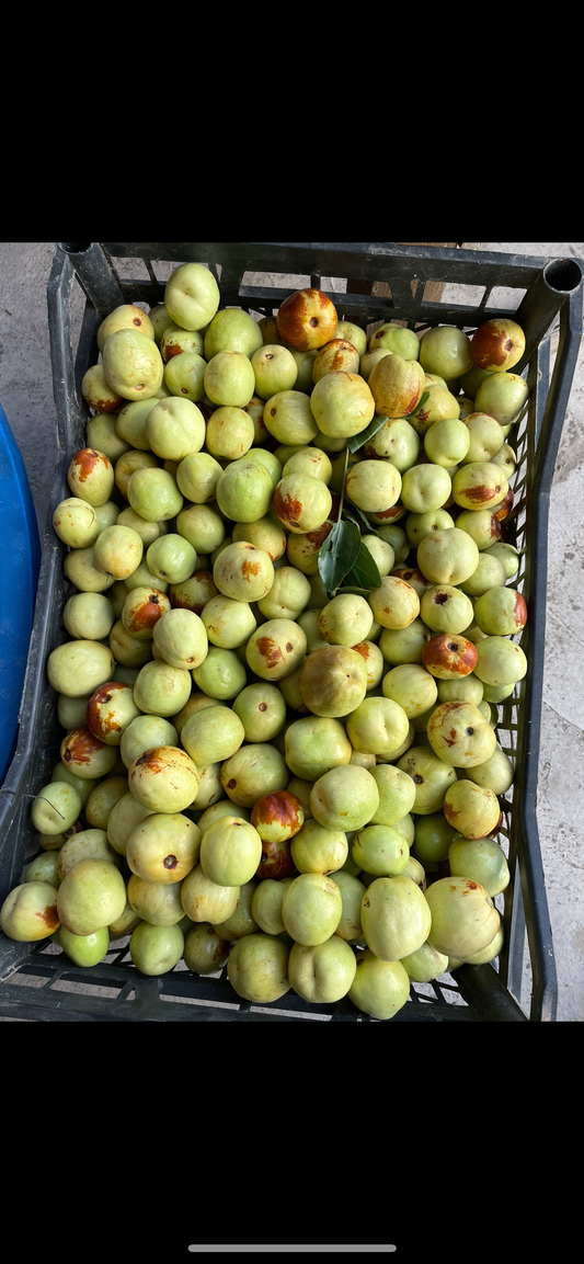 Olgun Hünnap meyvesi 5 Kg